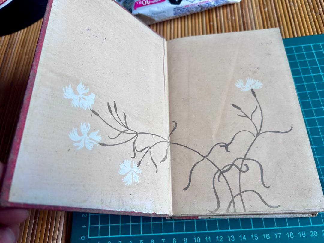 少女物語 なゝ姫 河井醉茗 著 大正2年発行