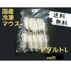 国産 冷凍マウスアダルト L 100匹 (一部地域発送不可)