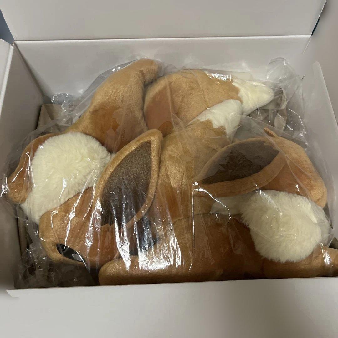 等身大イーブイ 寝そべり【お誕生日配送箱】新品　ぬいぐるみ2個セット