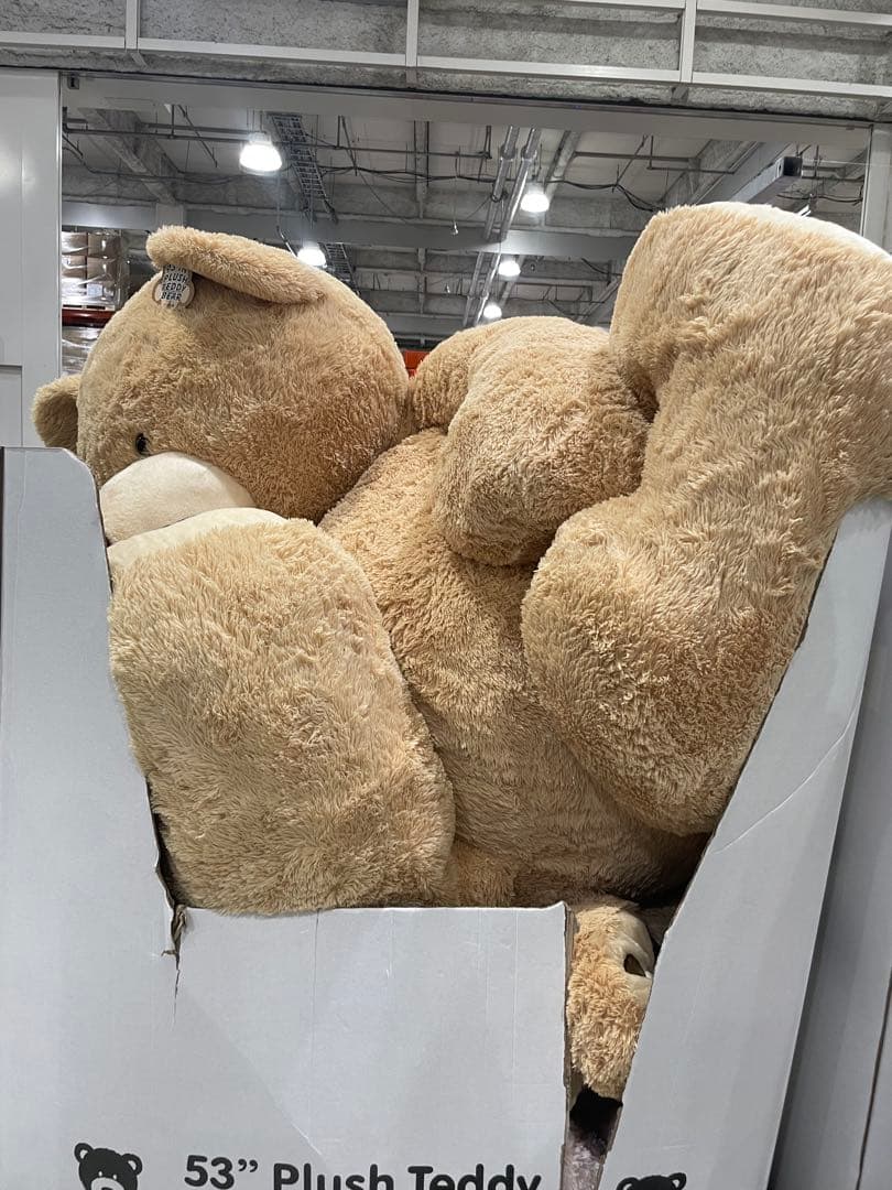 腹筋太郎　再出品クマのぬいぐるみ