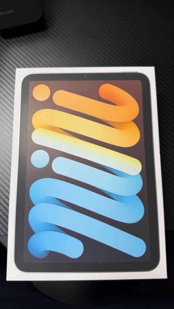 c*e様 iPad mini 7 （A17pro）Wi-Fi + Cellula