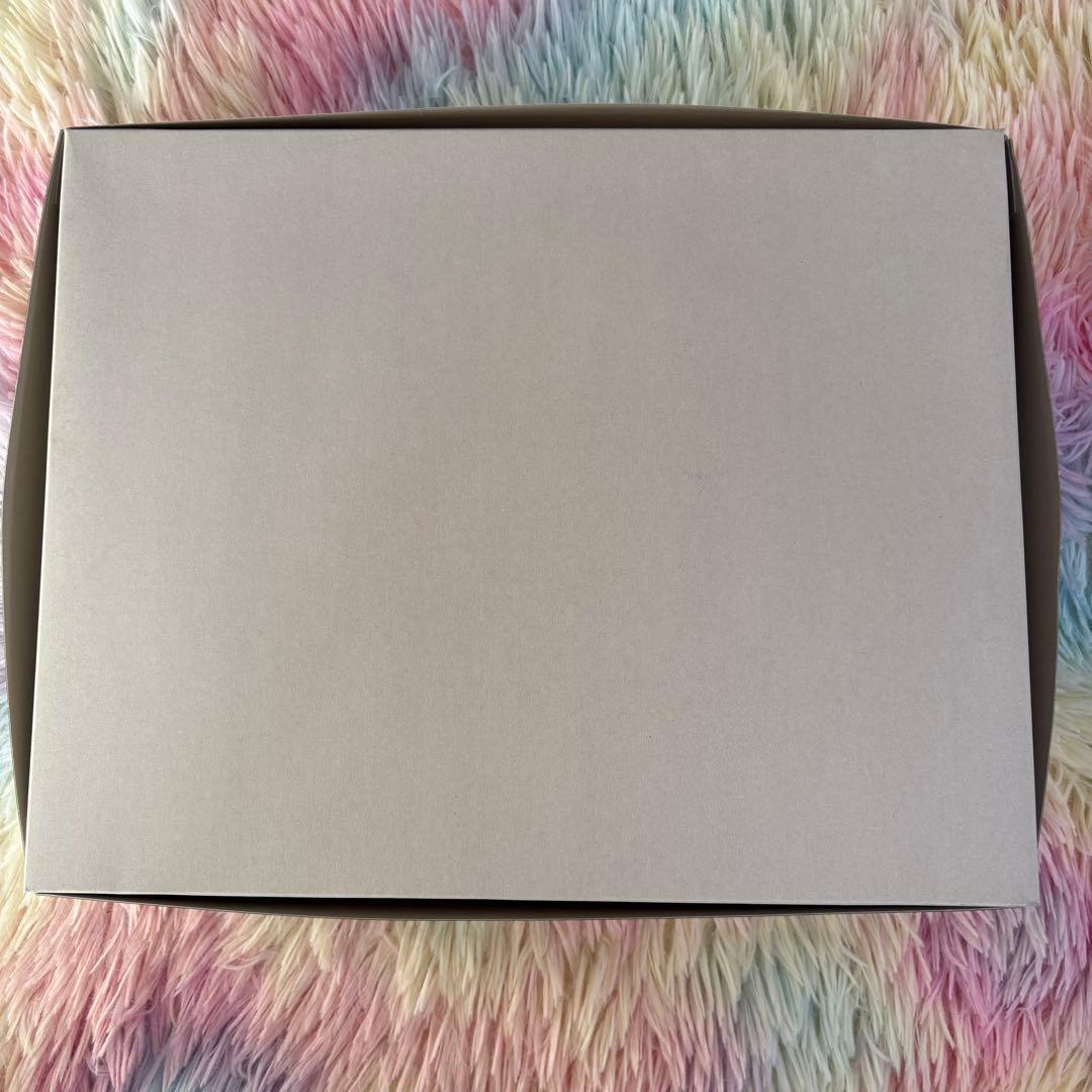 RG 汎用ヒト型決戦兵器 人造人間エヴァンゲリオン試作零号機DX 陽電子砲セット