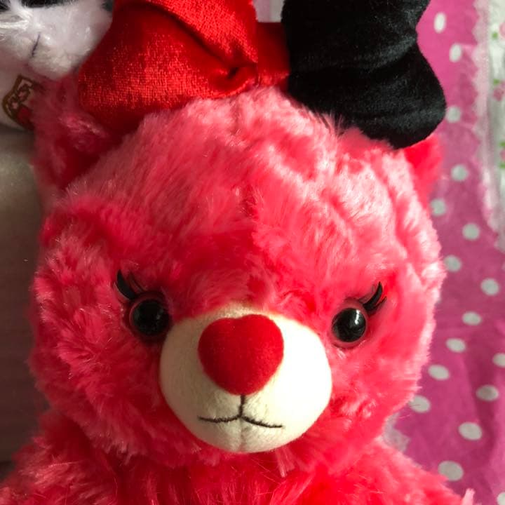 【全てタグ付き】ディズニーストアー ユニベア 5周年 不思議の国のアリス