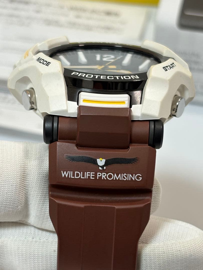 【稀少品】G-SHOCK GR-B100 WILDLIFE PROMISING