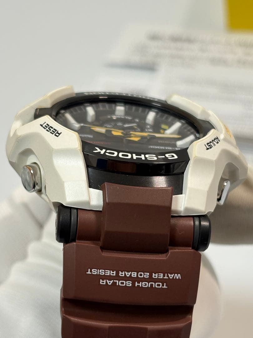 【稀少品】G-SHOCK GR-B100 WILDLIFE PROMISING
