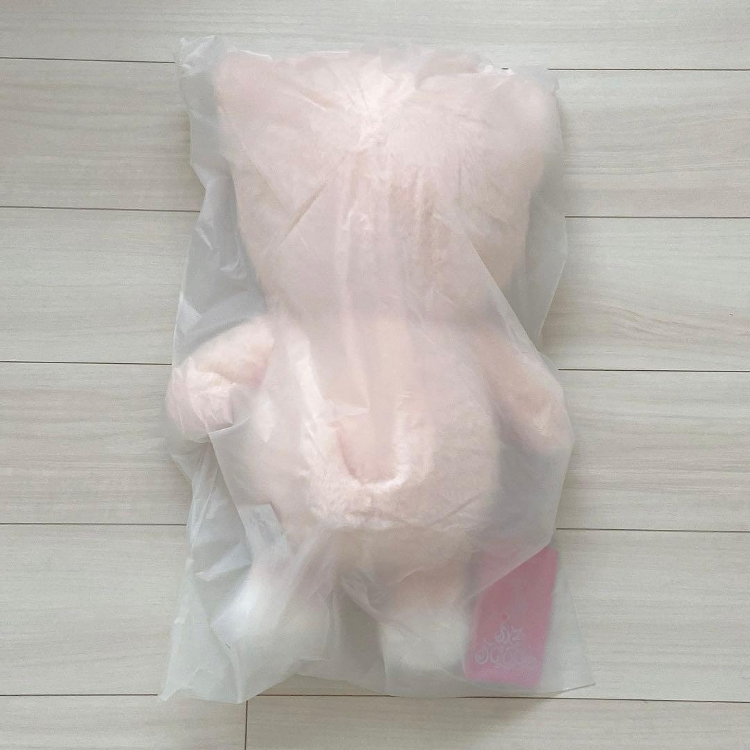 フォクシニー　アイエン　スキズ　テディ　テディベア　新品未開封