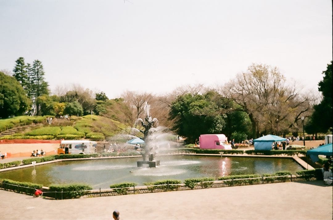 【作動保証1ヶ月】整備済、完動品/ OLYMPUS TRIP35　オリンパス