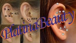 耳つぼジュエリー認定講師資格を取得（認定証１枚付属）通信講座／協会資格取得）