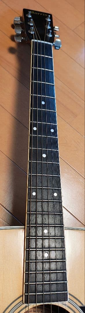 Morris W-20 アコースティックギター