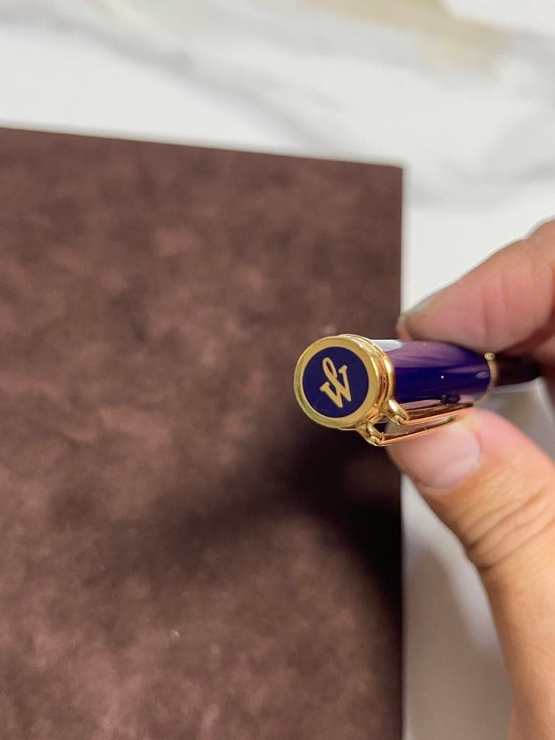 万年筆　ウォーターマン. バーバリー ( ペン4本)