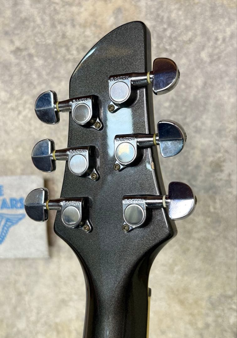 【希少】FERNANDES APG series 整備・清掃・弦交換済み