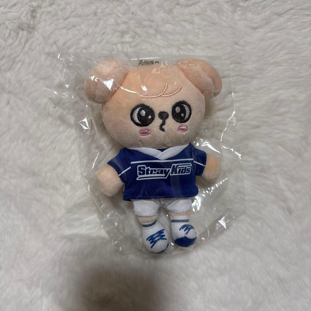 StrayKids スンミン PuppyM 17点 まとめ売り