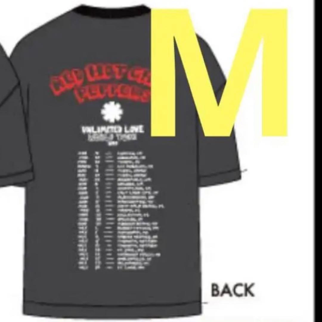 ミュージシャン RED HOT CHILI PEPPERS Nun Tower Tee 2024