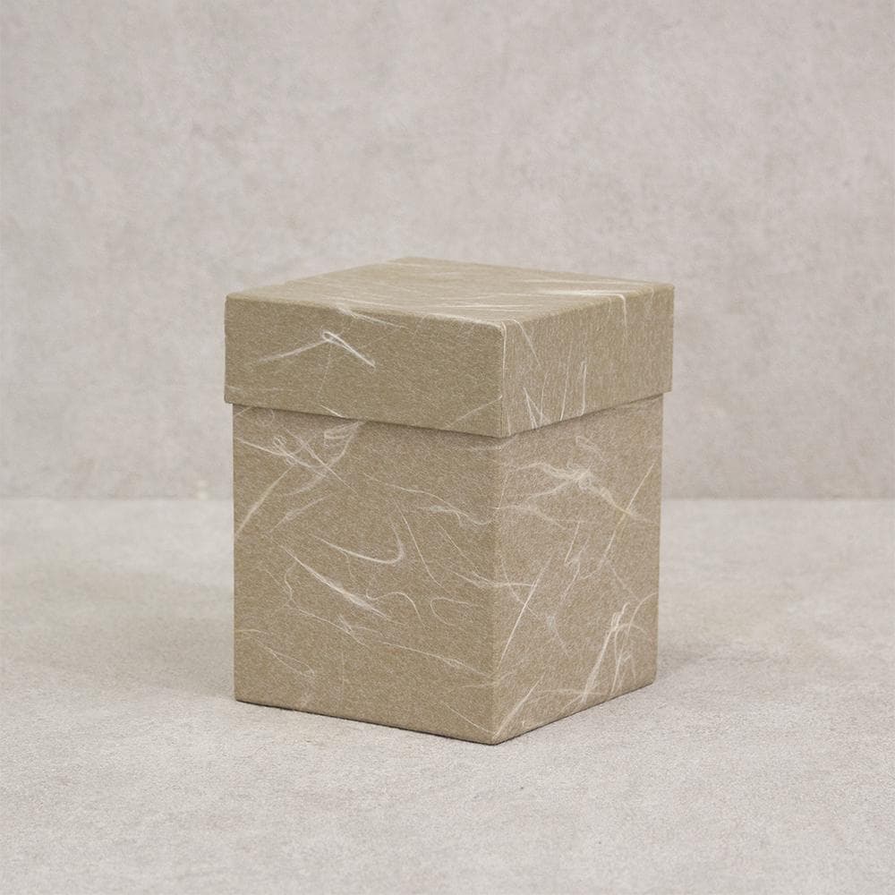 岡本漆専堂 棗 月にすすき 黒塗蒔絵銀彩 茶道具 共箱