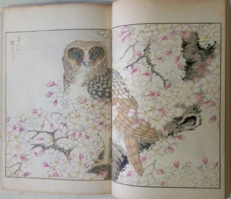 木版画本聚鳥畫譜大正5年再版三冊揃い天、地、人沼田荷舟画初版は明治18年～22年