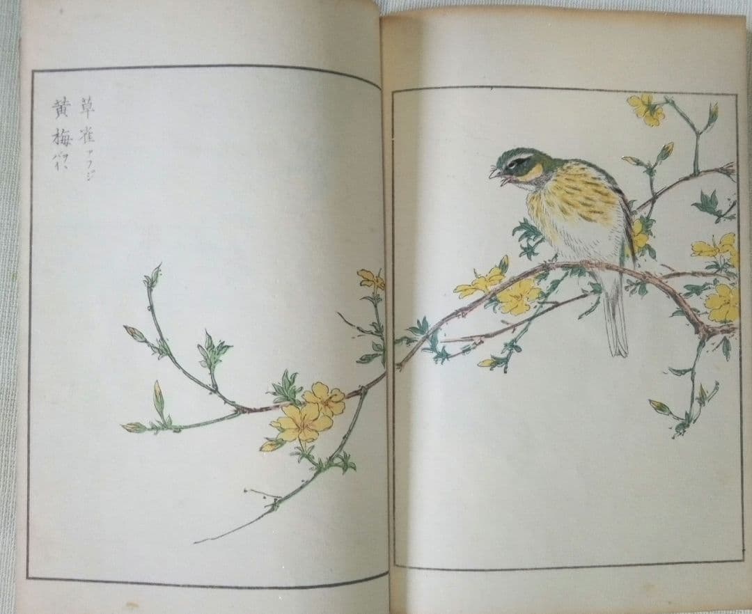 木版画本聚鳥畫譜大正5年再版三冊揃い天、地、人沼田荷舟画初版は明治18年～22年