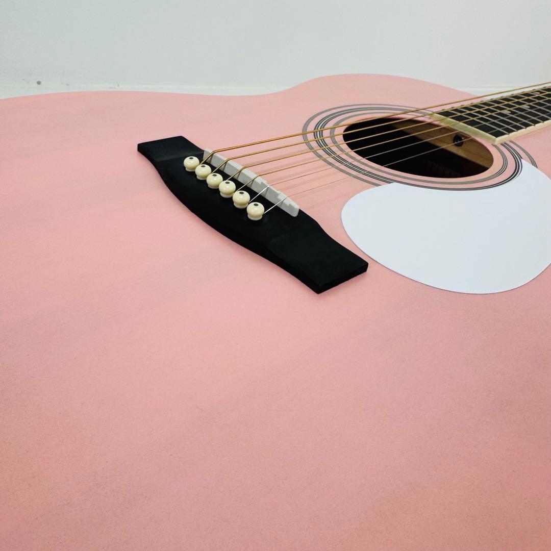 HONEY BEE アコースティックギター F-15 SKR ギター　ハニービー