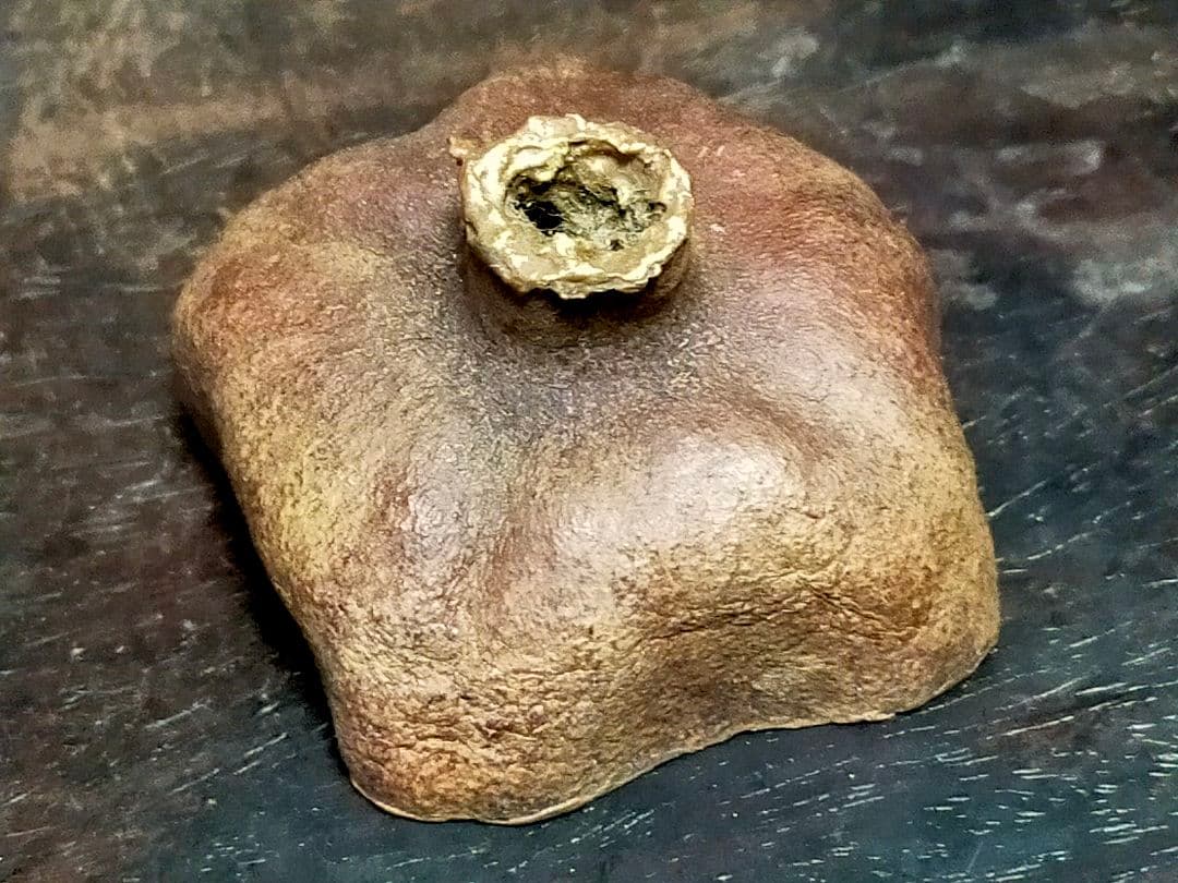 ♥荒川武夫　柘榴　香合　共箱付き　ザクロ　水月窯　荒川豊蔵　骨董　古玩