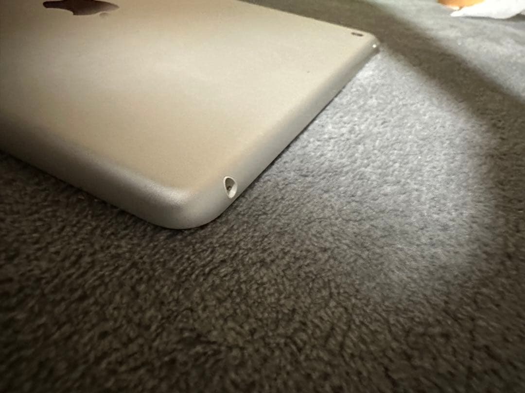 ぱる　Apple iPad 第6世代 32GBホワイト 本体