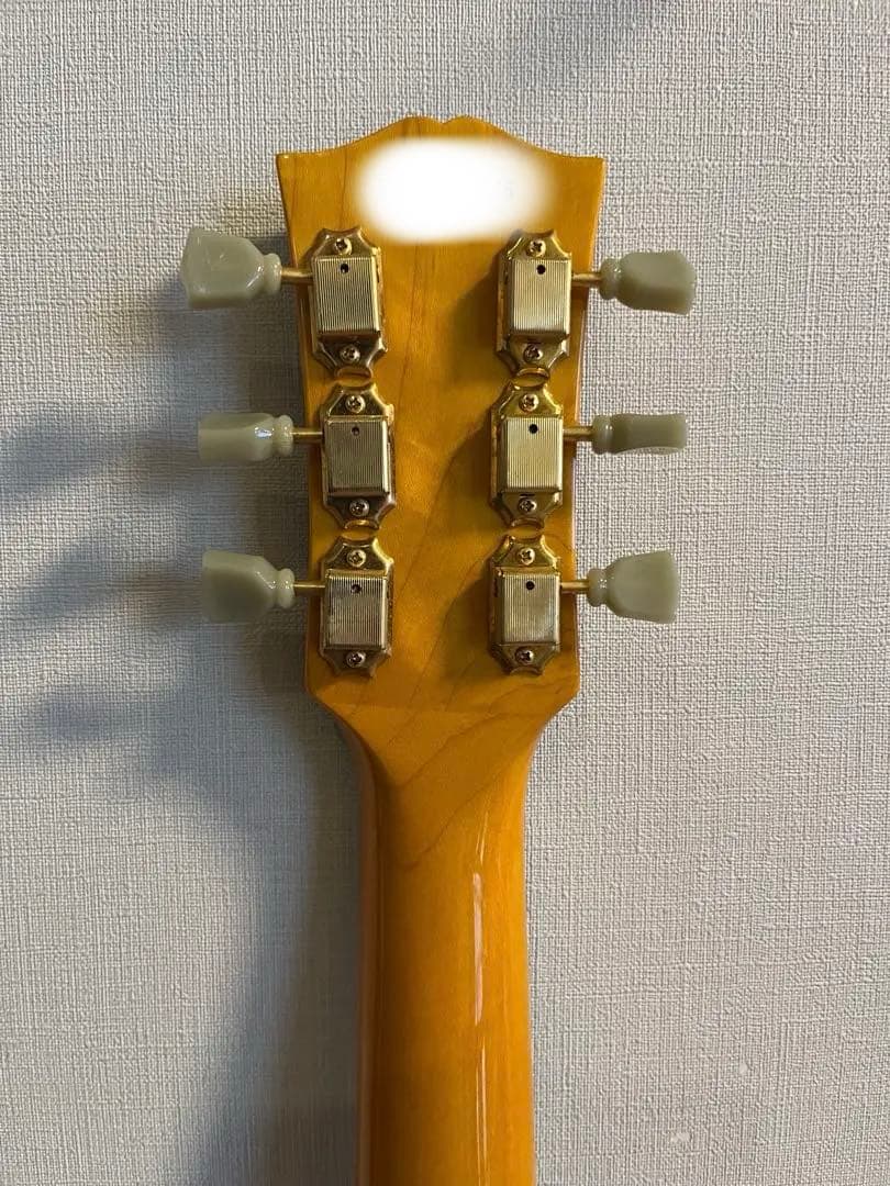 Bunny RFA-65 フルアコ