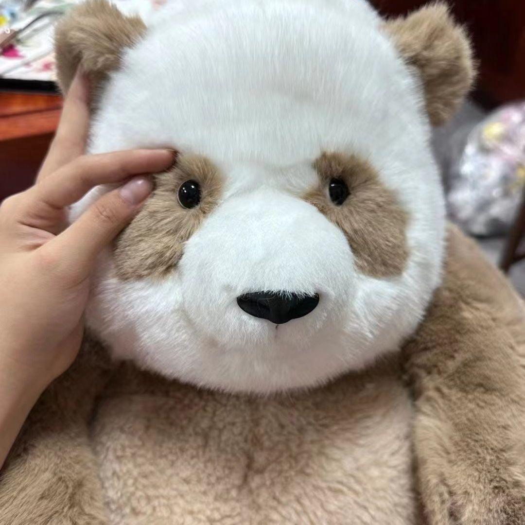 茶色パンダ】シミュレーション肉球金玉