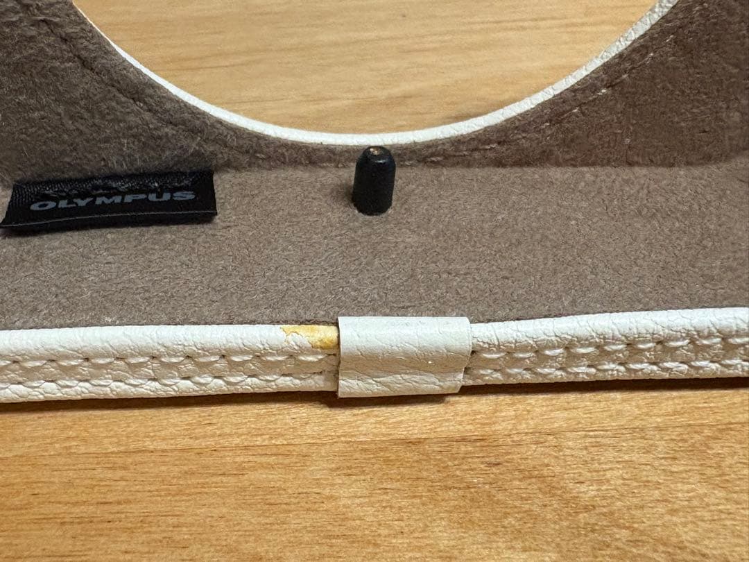 OLYMPUS PEN E-PL10 本体＆標準レンズ