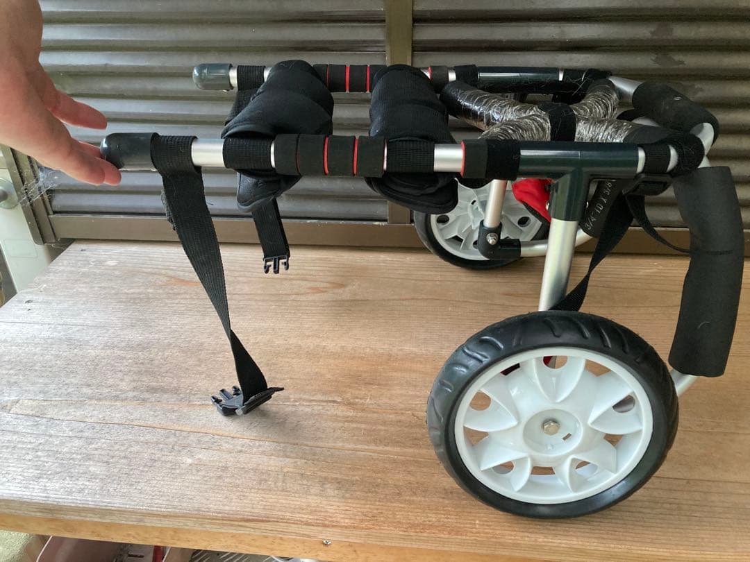 ♪ ワンちゃんの車椅子