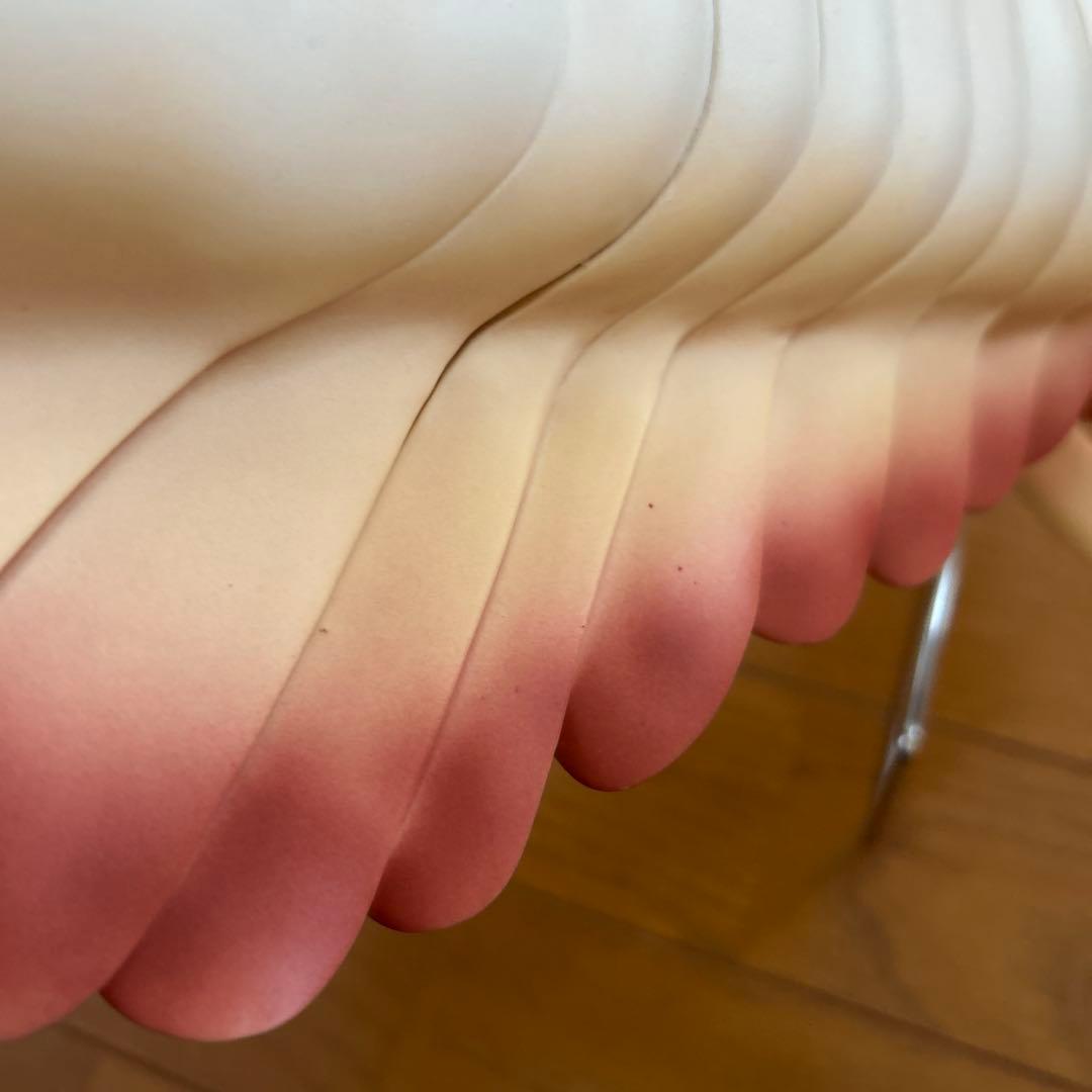 カンブリア紀　アノマロカリス　フィギュア　化石　復元モデル　NHKスペシャル