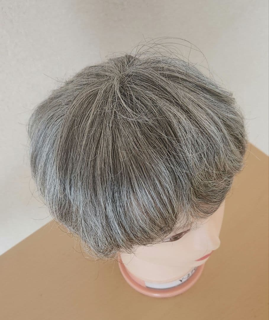プー NAO-ART ナオ アート シルバーヘア ウィッグ ART 6-0