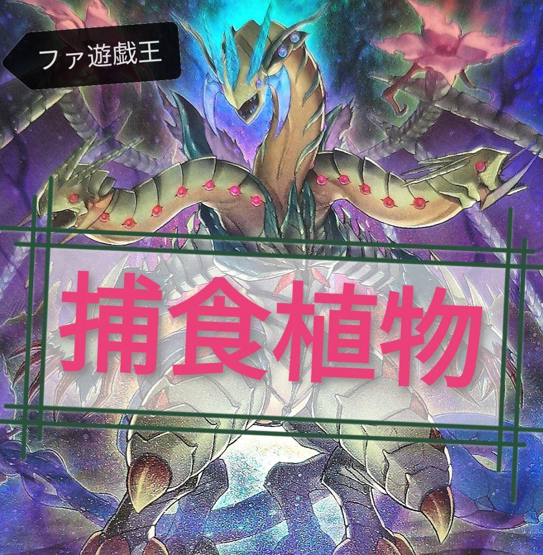 遊戯王デッキ　捕食植物デッキ　ガチ構築