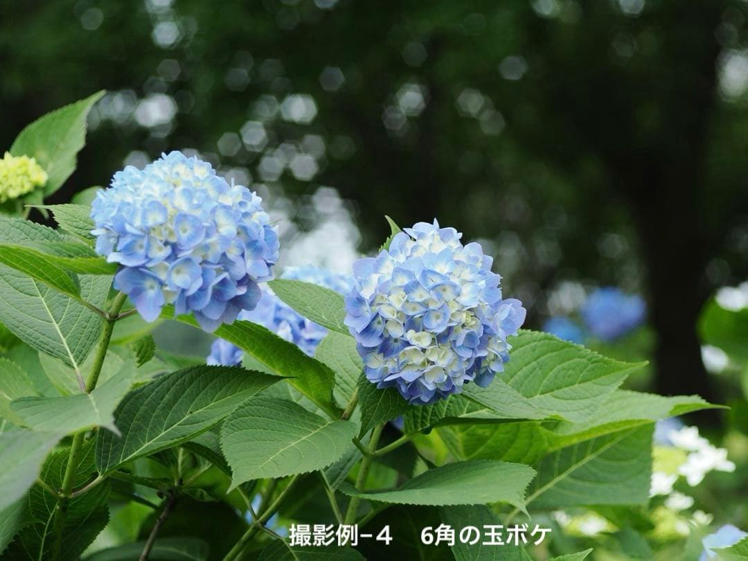 50㎜ f2.8 ヘリコイド機能付き Borg引き伸ばしレンズ