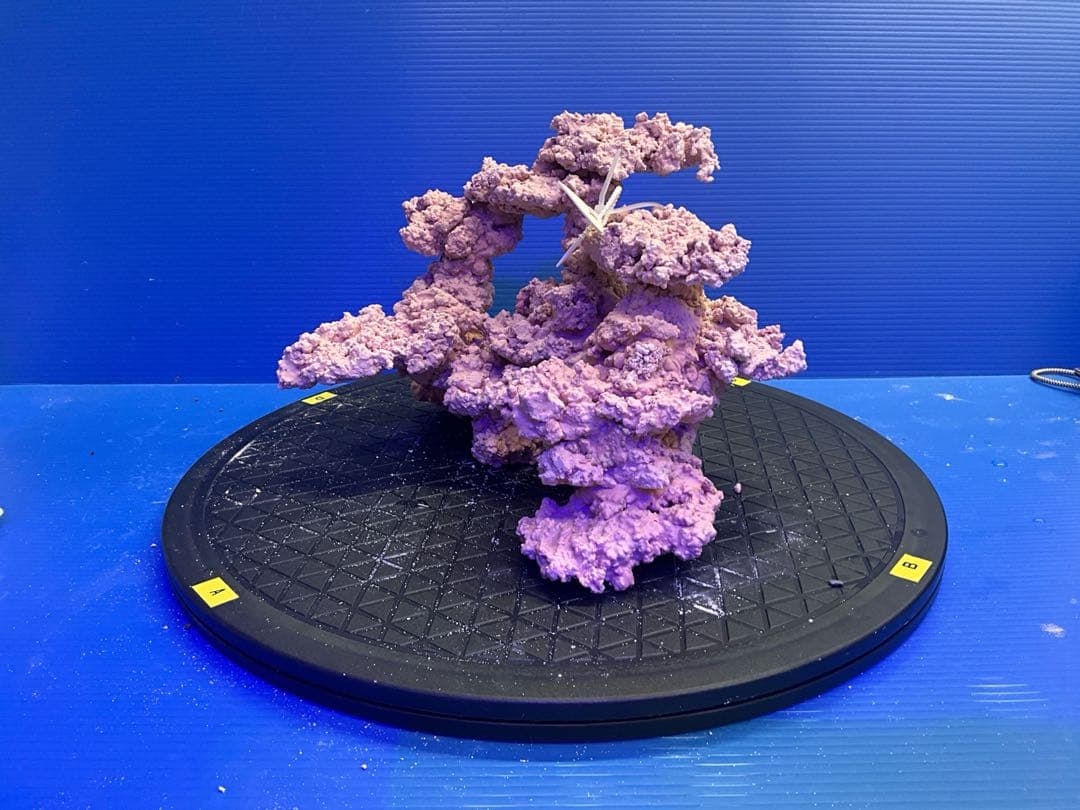 人工ライブロック　No.9-9 無害化処理済