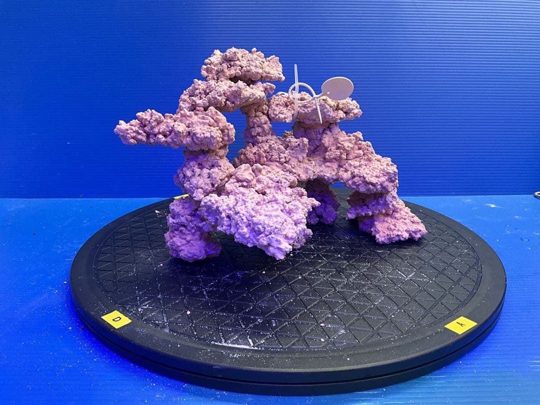 人工ライブロック　No.9-9 無害化処理済