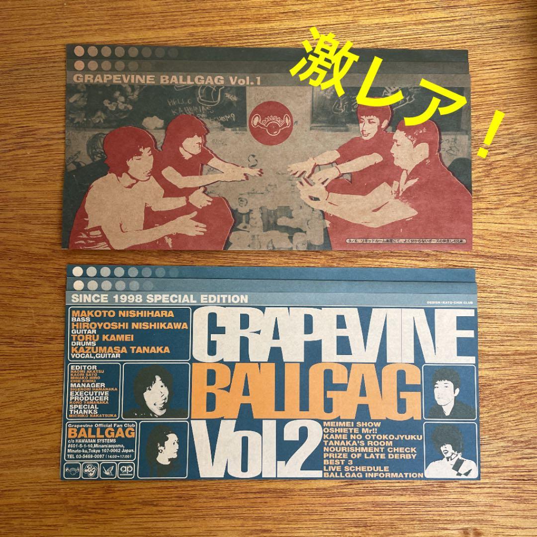 【グレイプバイン】激レア❗️ファンクラブ会報 vol.1 vol.2