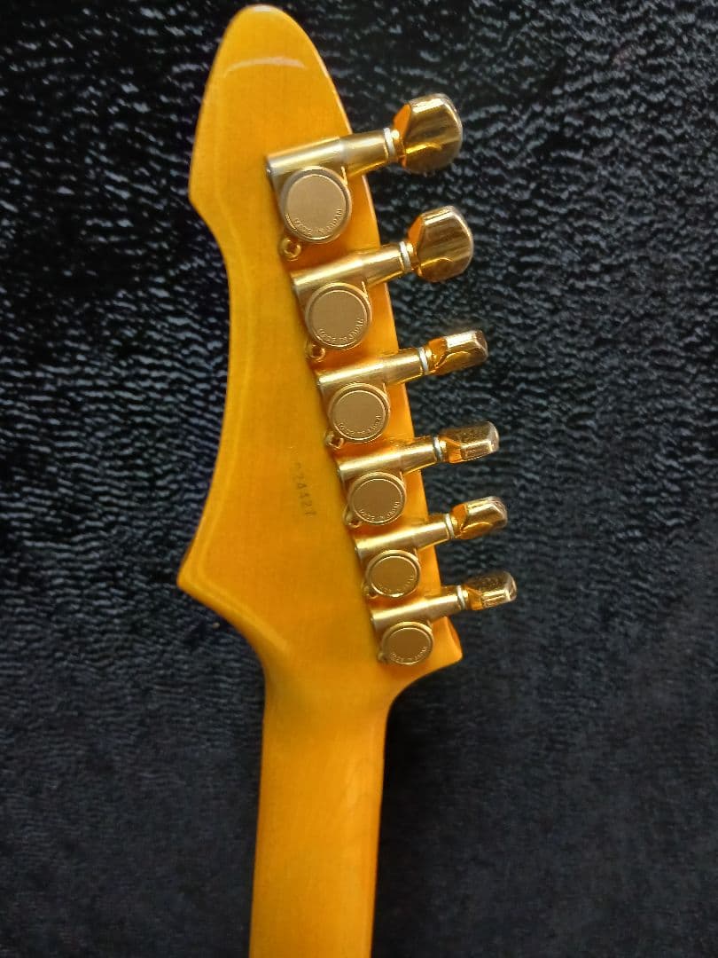 AriaproIIMAGNA Shires 中古ソフトケースシールドストラップ付