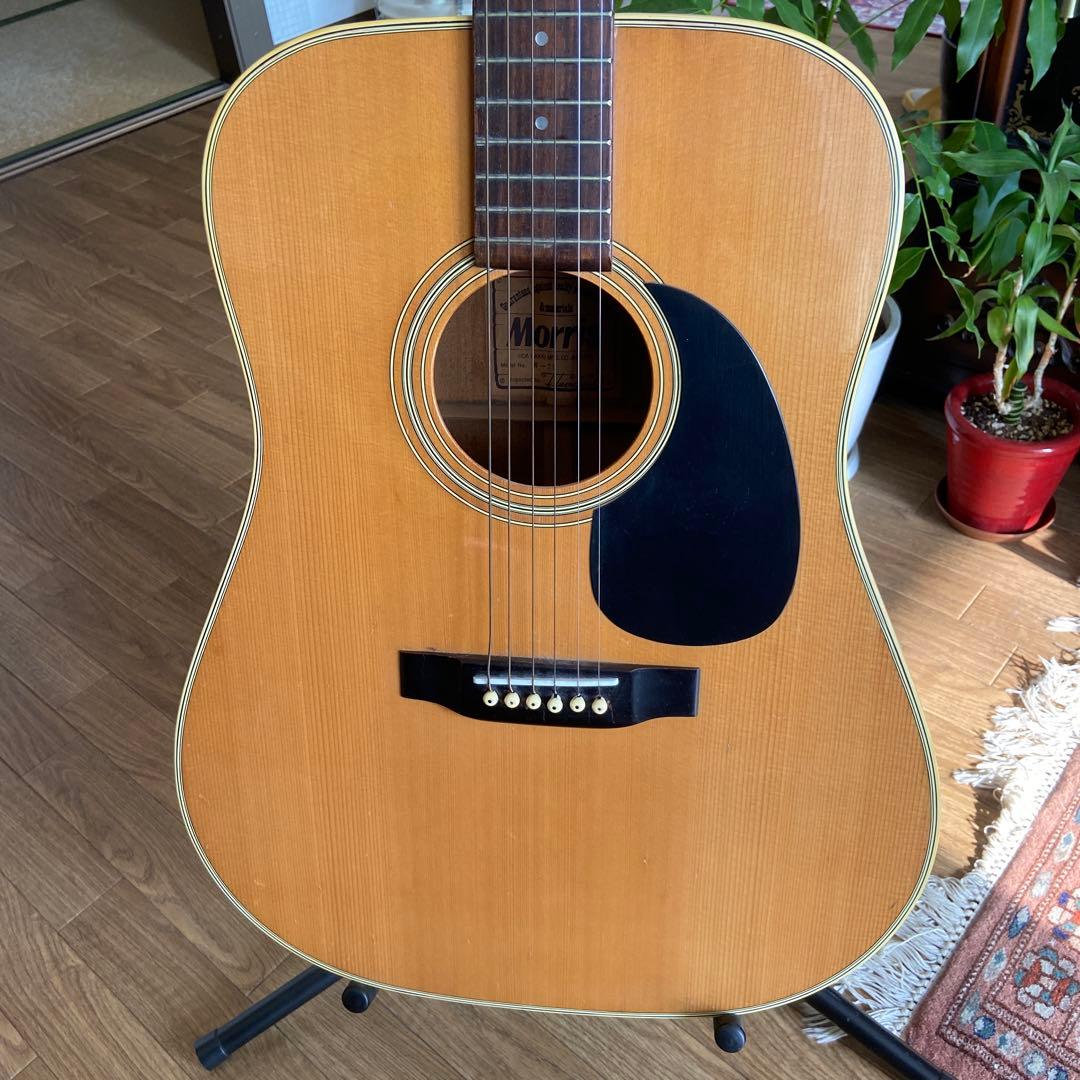 Morris W-20 アコースティックギター