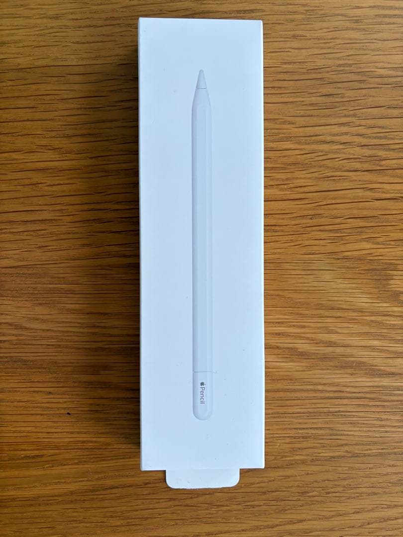 iPadアクセサリー Apple Pencil (USB-C)