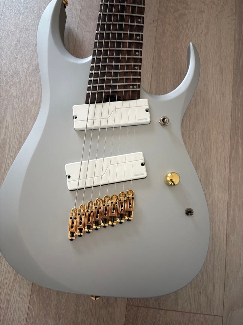 Ibanez RGDMS8 CSM Axe Design Lab 8弦ギター