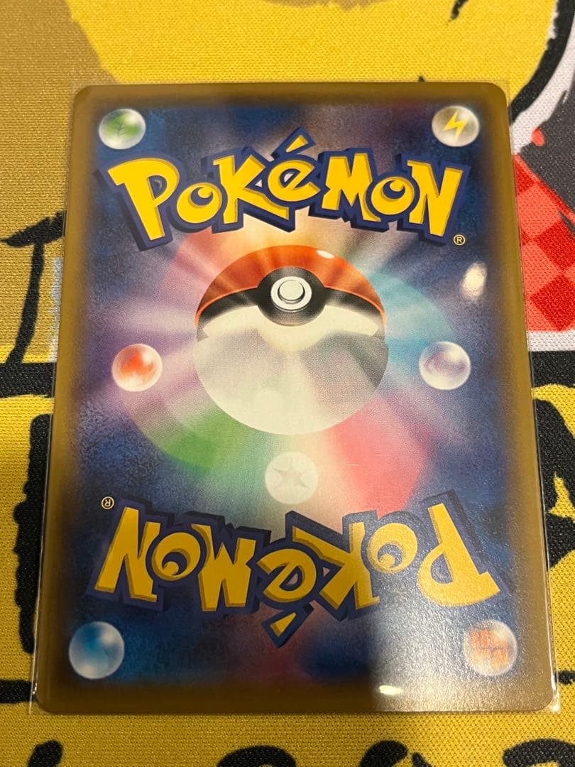 【美品】傘　エリカのおもてなし SR SM12a 190/173 鑑定品