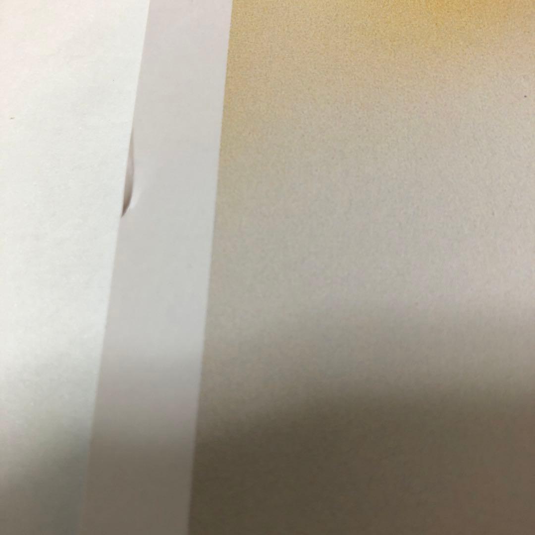 ZARD ポスター　10枚セット