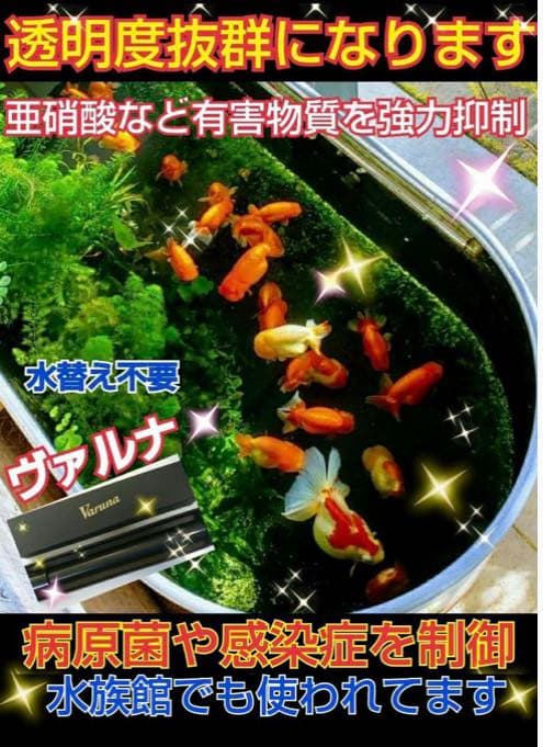 水槽の水が綺麗になります【ヴァルナミニ】有害物質を強力抑制し透明度が抜群に！