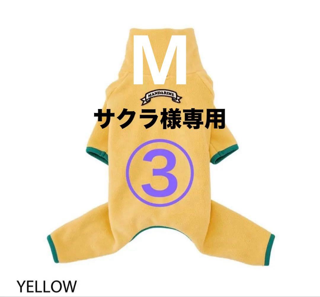 サクラチャコールM①イエローM①フレームロゴボアスーツ