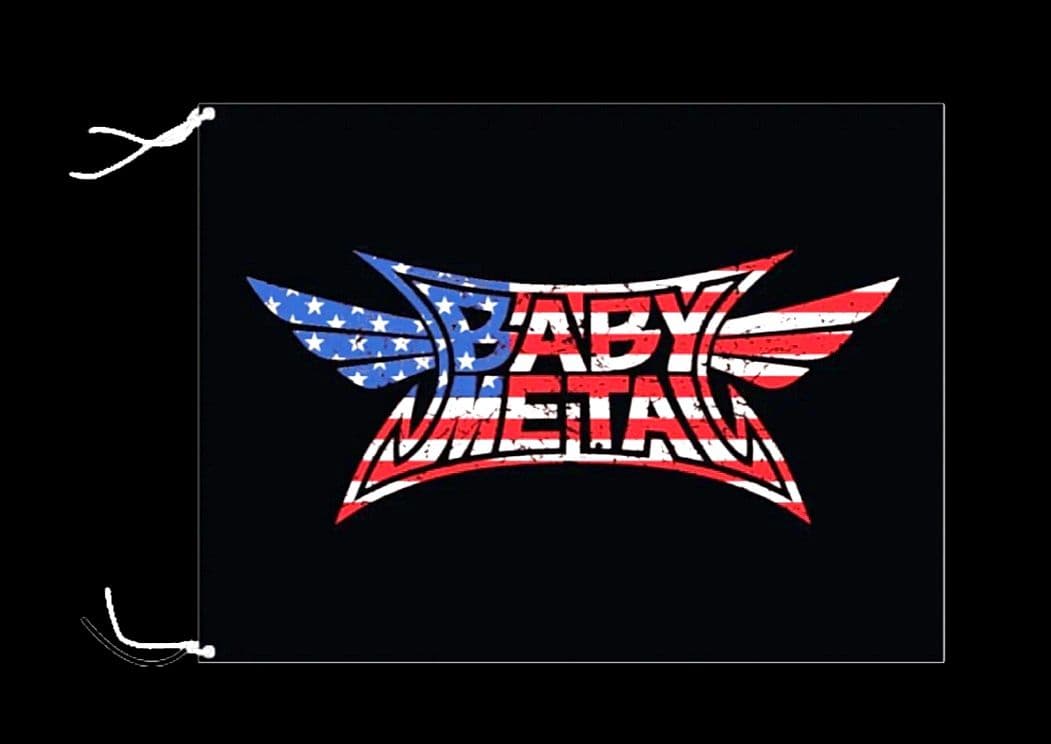 新品未開封 INTUIT DOME限定 FLAG フラッグ BABYL