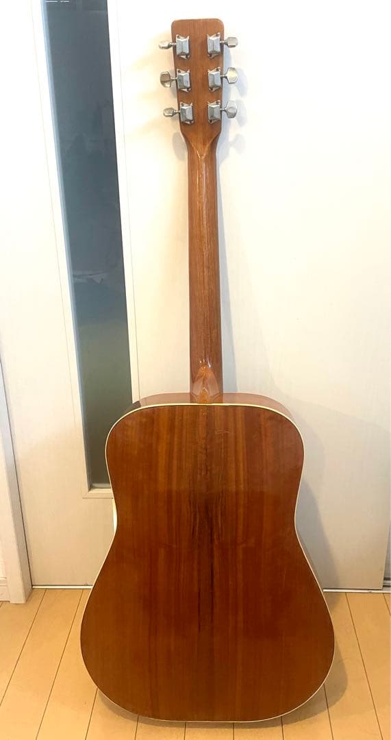 スプレンダー：Ｆ－１５０アコースティックギター
