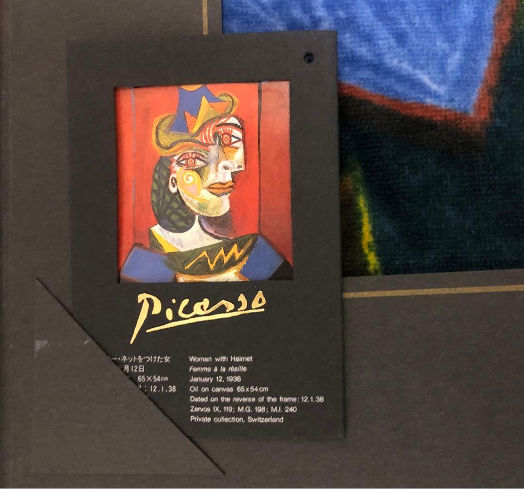 ★☆ピカソ ヘアーネットをつけた女 アートテリー シャーリングプリント★☆