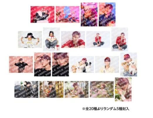 YUKI PHOTO SET ランダム5種封入 12セット