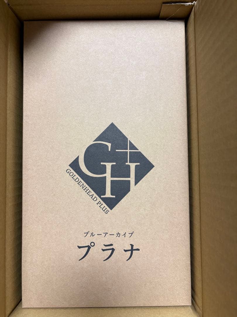 【新品未開封】プラナ フィギュア ブルーアーカイブ