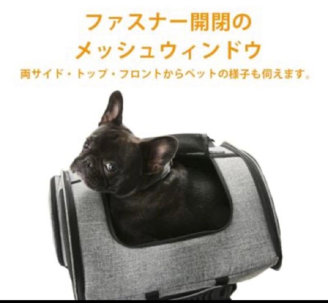 エアバギーフィット