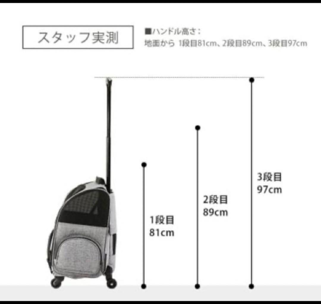 エアバギーフィット