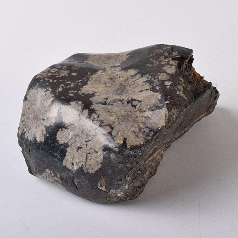 天然石　鑑賞石　菊花石　置物　重さ約788g　V　R8599